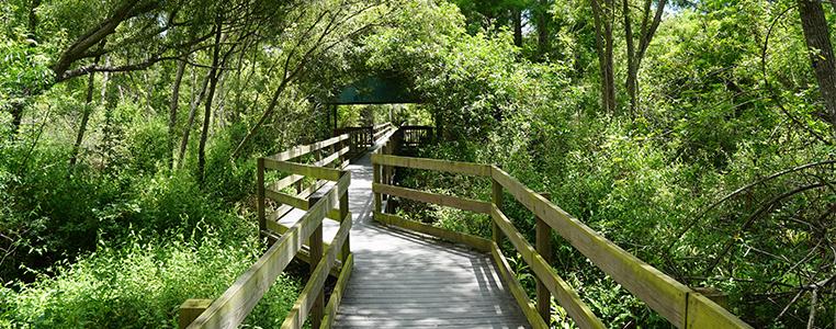 Larry Taylor Kiwanis Park Trial